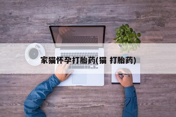 推荐个卖流产药的微信家猫怀孕打胎药(猫 打胎药)